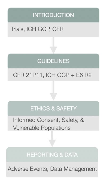 The Importance Of Ich Gcp Ccrps