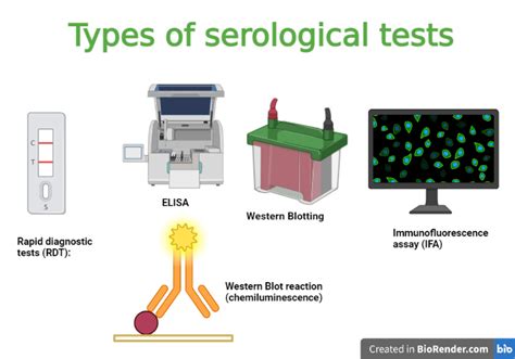 Serological Tests Definition Types Procedure Applications