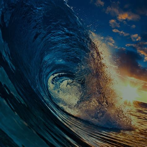 Riding the Wave: Sectors Thriving as Interest Rates Fall | Anchor 