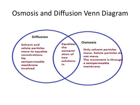 Venn Diagram For Diffusion And Osmosis Osmosis Diffusion Ven