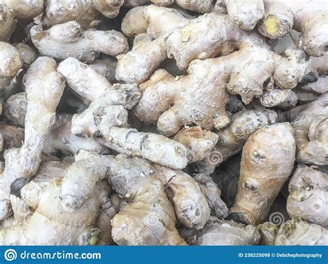 Ginger Root O Ginger Zingiber Officinale Foto De Archivo Imagen De