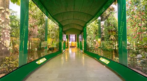 Natural Science Museum Tours - Book Now | Expedia