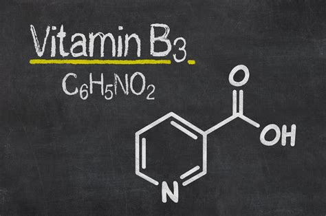 Niacin 6 Wirkungen 18 Lebensmittel Mit Vitamin B3