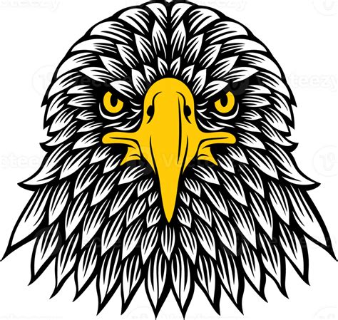 Eagle Head Front View PNG Illustration 30933586 PNG