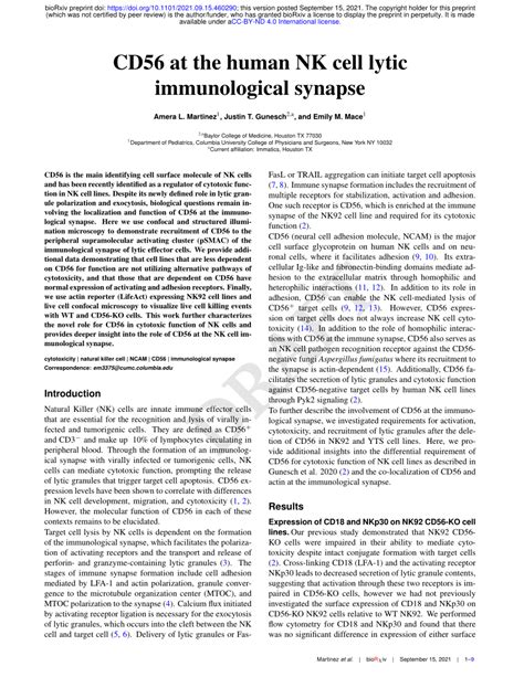 Pdf Cd At The Human Nk Cell Lytic Immunological Synapse