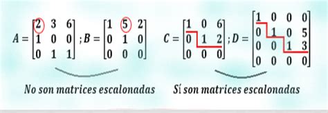 MATRIZ ESCALONADA EN FORMA REDUCIDA O CANÓNICA