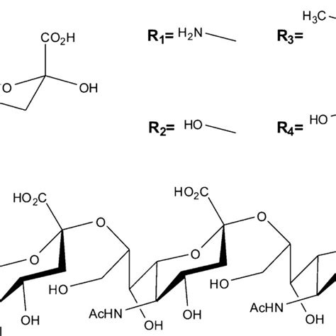 A Neuraminic Acid R Is A Carbon Sugar With A Carboxylate