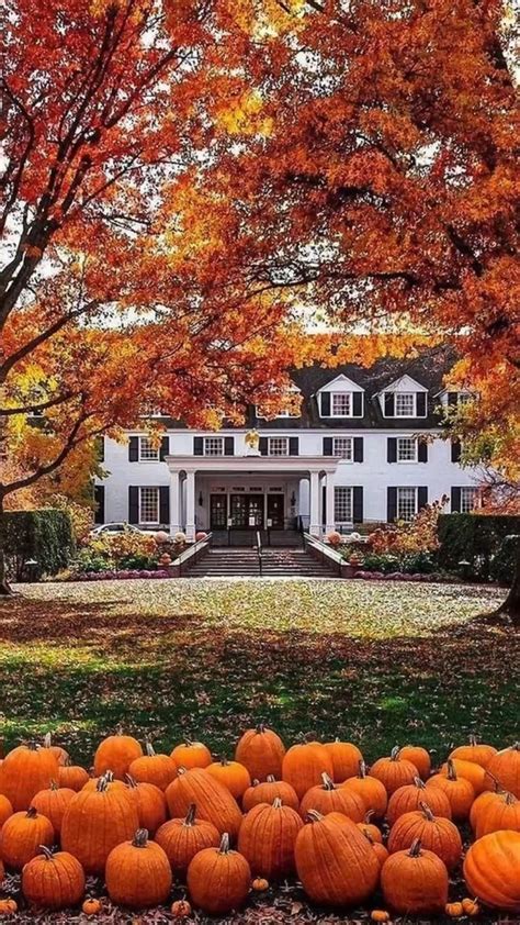 Fall in ct 7 top spots for fall foliage in connecticut – Artofit