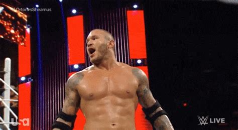 Wwe Randy Orton Rko 