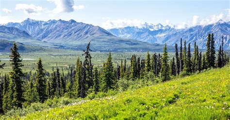 The Ultimate Alaska Travel Guide Earth Trekkers