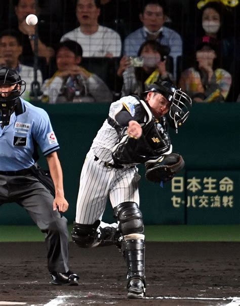 【動画】「すごい勝負」ソフトバンク周東佑京の足vs阪神・梅野隆太郎の「梅ちゃんバズーカ」にファン興奮：「おっ！」でつながる地元密着のスポーツ