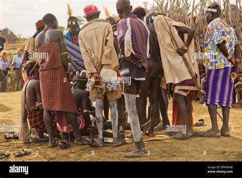 Bull-jumping ceremony Hamer Tribe, Ethiopia Stock Photo - Alamy