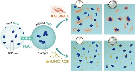 Stabilization Of Fragmental Polystyrene Nanoplastic By Natural Organic