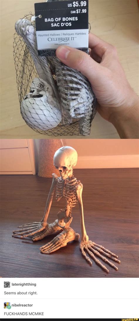 Kinda Sexy How You Put Those Cuffs On Me Will I Need A Safe Word Cop The Fuck Is Wrong With