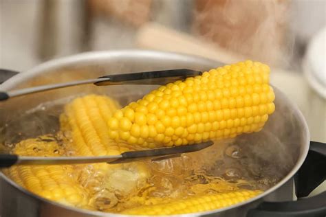 How to Tell When Corn is Done Boiling? - Substitute Cooking