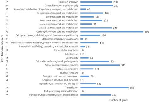 Distribution Of Genes Based On The COG Functional Categories In The