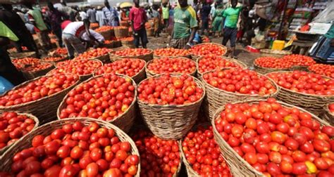 Farmers Flood Mile 12 Market With Tomatoes Punch Newspapers