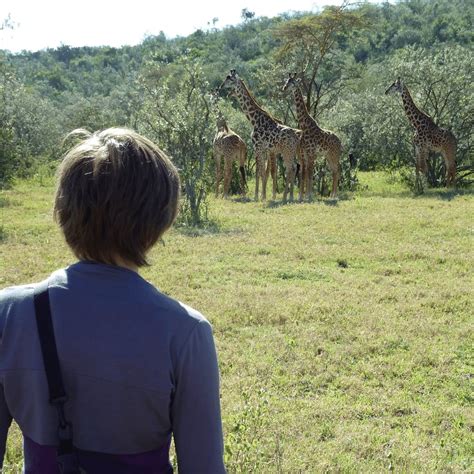 Tage Safari Kenia Tansania Sansibar