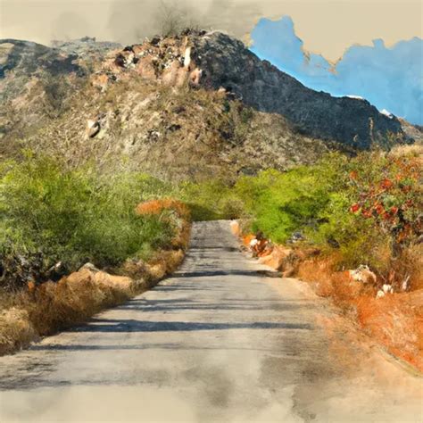 Catalina State Park | Arizona Parks Visitor Guide