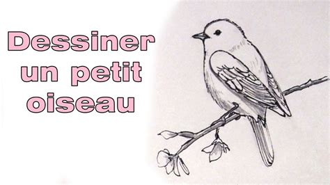 Comment Dessiner Un Petit Oiseau Sur Une Branche Youtube