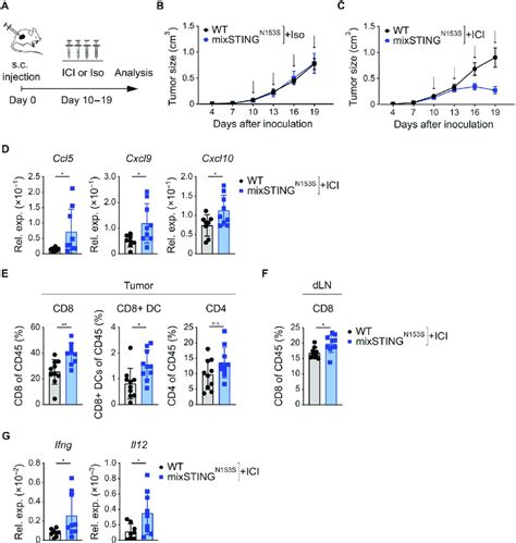 Tumor Cell Intrinsic Sting Enforcement Sensitizes To Immune Checkpoint