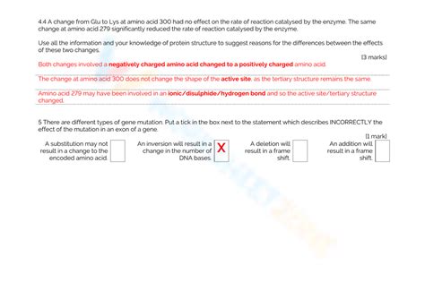 Free Collection of Protein Synthesis Worksheets for Students 
