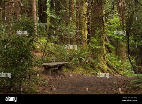 Im Lewis And Clark National Historical Park Astoria Oregon Usa