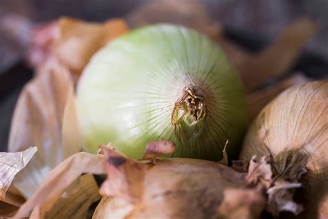 50, 100, 150 грамм лука – это сколько штук? - Food-Wiki.ru