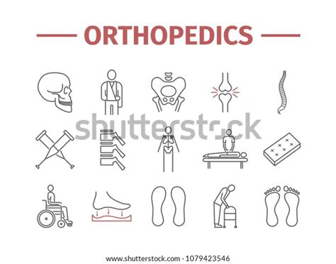 Orthopedic Trauma Rehabilitation Thin Line Icons Stock Vector Royalty