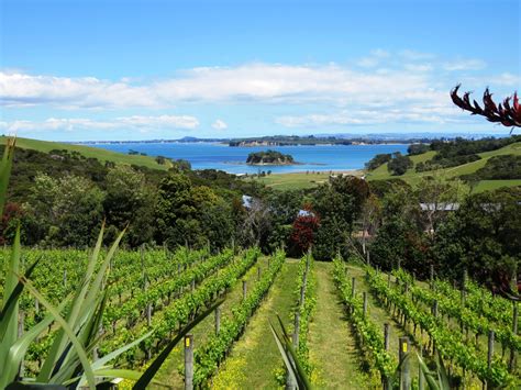 New Zealand Winegrowers Mixes Virtual With Physical During Wine Week