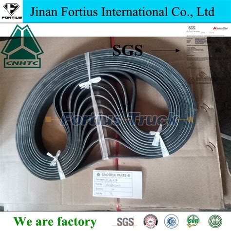 Shacman Camc FAW Foton Dongfeng North Benz JAC Heavy Truck Parts