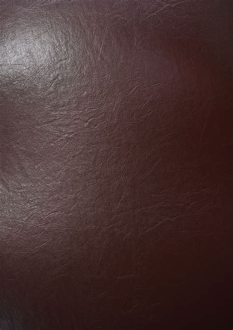 brown leather evershine
