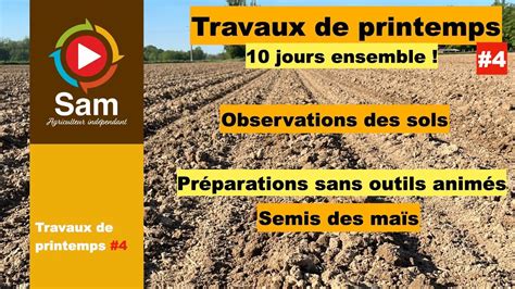 Travaux De Printemps Semis Des Ma S Patience Observation