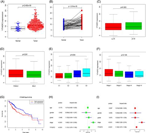 Correlations Of YTHDF2 Expression With Clinicopathological