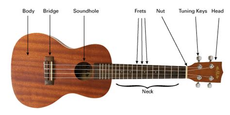 Learn to play Ukuklele: A beginners guide