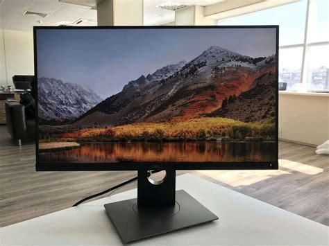 Обзор мониторов dell: бюджетные, игровые, как выбрать?