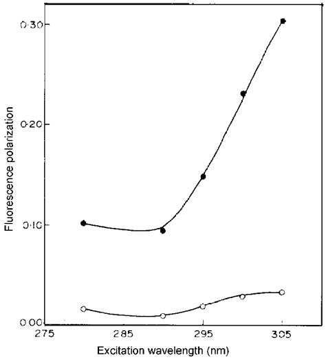 Fluorescence Polarization Of The Channel Form Of Gramicidin A In Popc