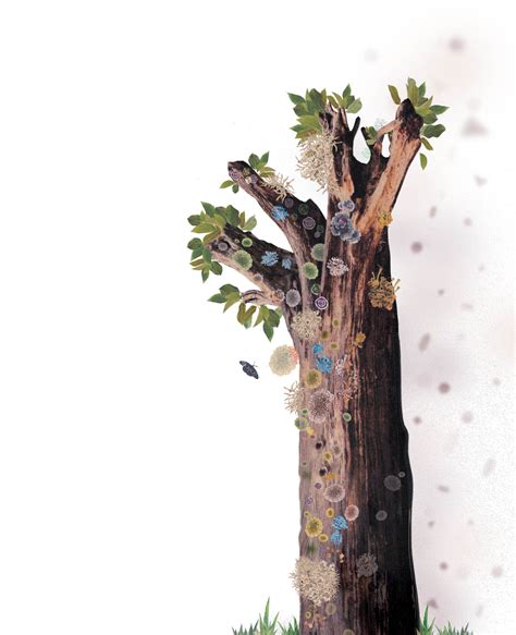 Living in harmony with dragons | Current Conservation