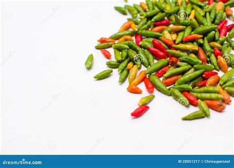 Especiaria Tailandesa Do Piment O Imagem De Stock Imagem De Pimento