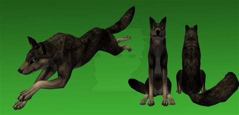 Wolfquest Pack Preview 45 By 0abarai0 On Deviantart