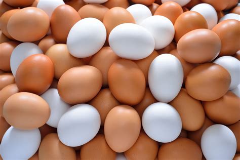 El Color De Los Huevos Cambia Su Sabor