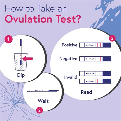 Iproven Ovulation Predictor Kit 25 Lh Ovulation Test Strips And 5