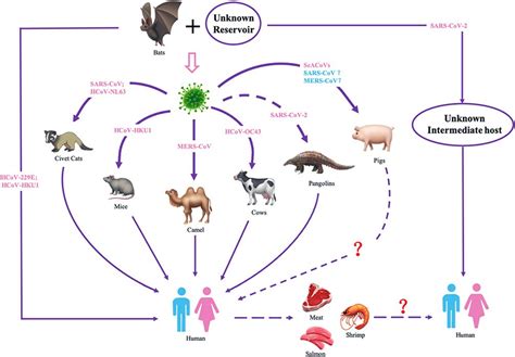 Cross Species Transmission Of Pandemic Diseases To Human Gan Et Al