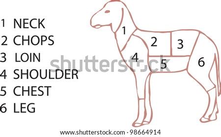 Cuts Of Meat Sheep Stock Vector Illustration 98664914 : Shutterstock