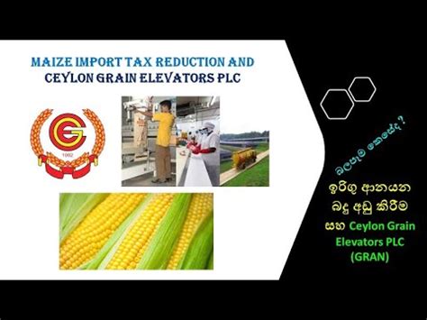 ඉරග ආනයන බද අඩ කරම සහ Ceylon Grain Elevators PLC Maize Import Tax