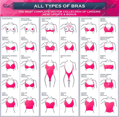 Premium Vector Complete Collection Lingerie Types Of Bras