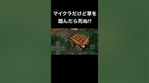 草を踏んだら死ぬ世界でサバイバル【マイクラ】 Youtube