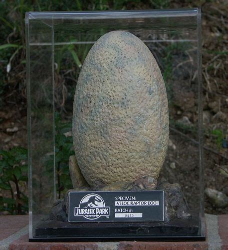 Jurassic Park Raptor Egg Jurassic Park Jurassic Park Raptor Jurassic Park Movie