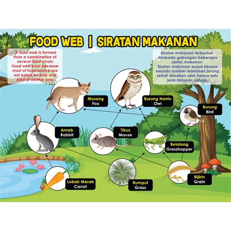 Banner Sains Dwibahasa Food Webchainphotosyntesisrespiration