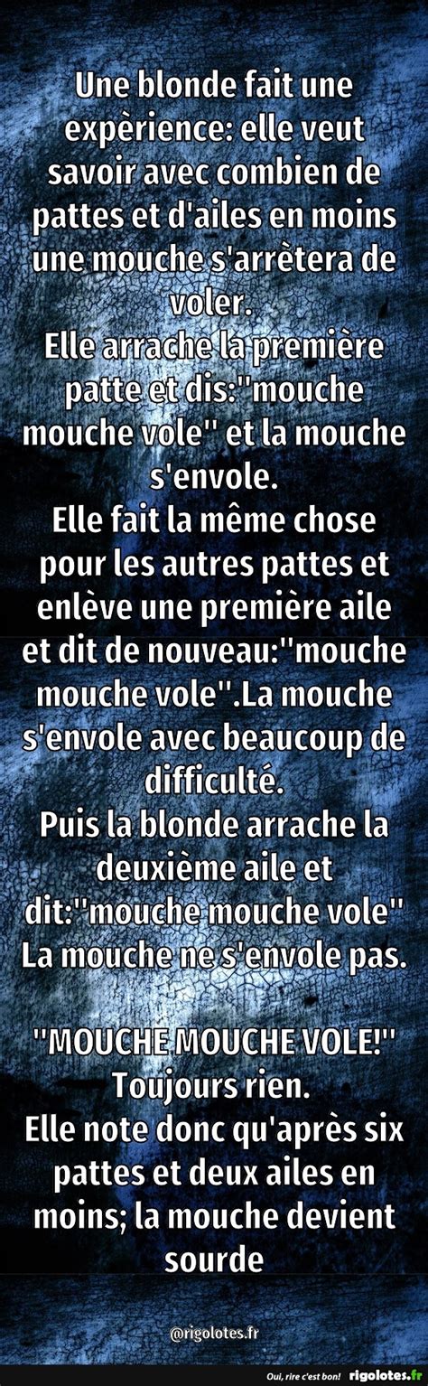 Une Blonde Fait Une Exp Rience Blagues Et Les Meilleures Images Dr Les